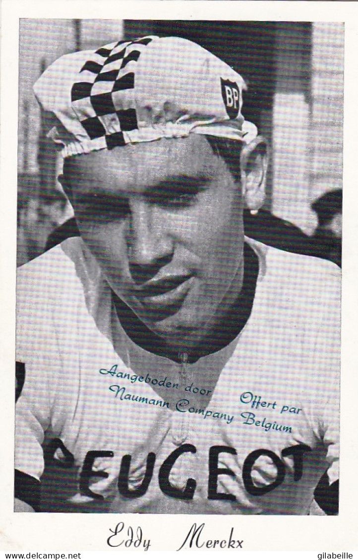 Cyclisme - Coureur Cycliste Eddy Merckx - Team Peugeot - Wielrennen