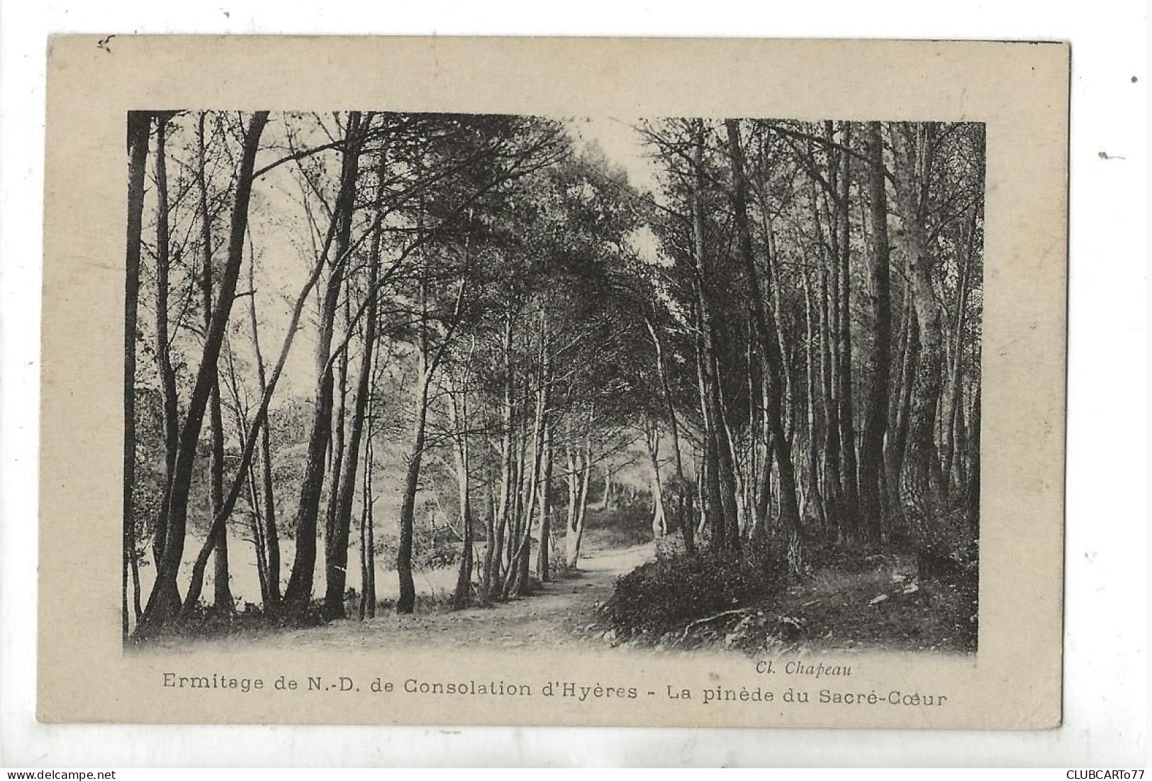 Hyères (83) : La Pinède Du Sacré-Coeur De 'l'Ermitage ND De Consolation En 1910 PF. - Hyeres