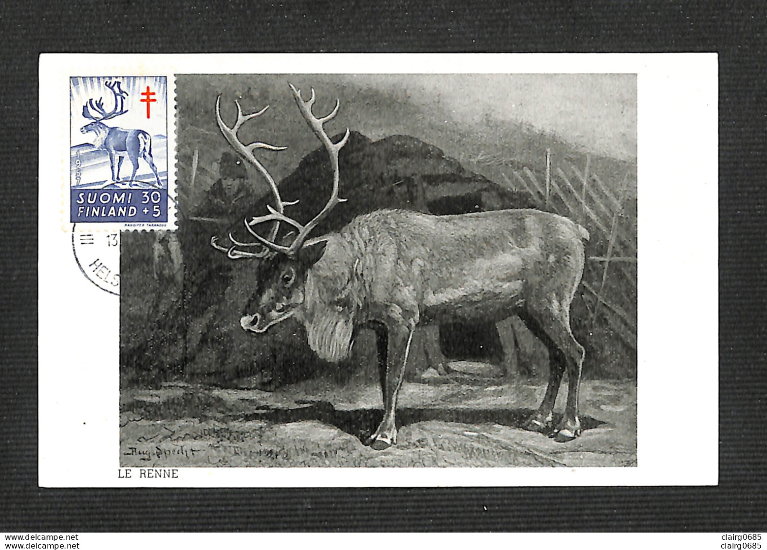 FINLANDE - FINLAND - SUOMI - Carte MAXIMUM 1957 - Reindeer (Rangifer Tarandus) - Maximum Cards & Covers
