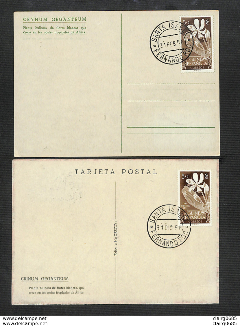 GUINÉE ESPAGNOLE - GUINEA ESPANOLA - 2 Cartes MAXIMUM 1956 - CRYNUM GEGANTEUM - Guinea Española
