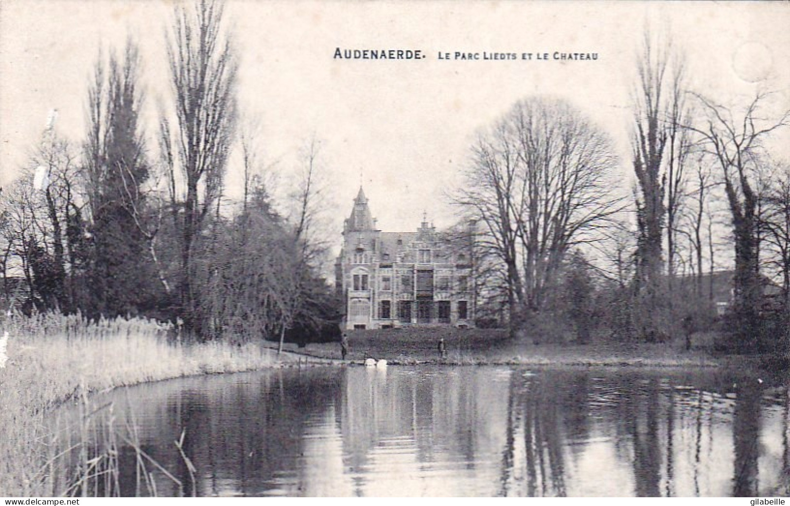 AUDENARDE - OUDENAARDE - Le Parc Liedts Et Le Chateau - Oudenaarde