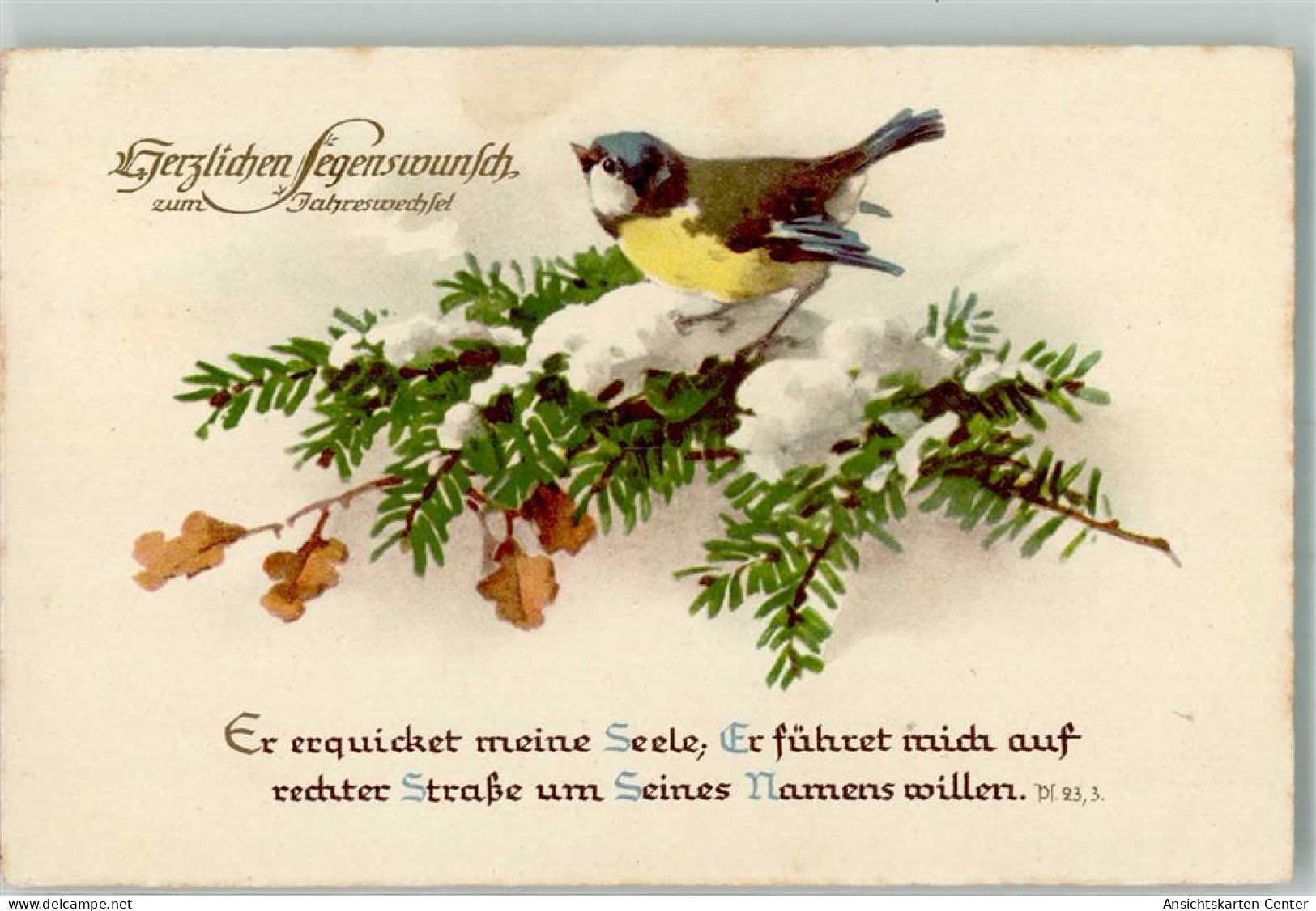 39791506 - Neujahr Tannenzweigen Psalm - Oiseaux