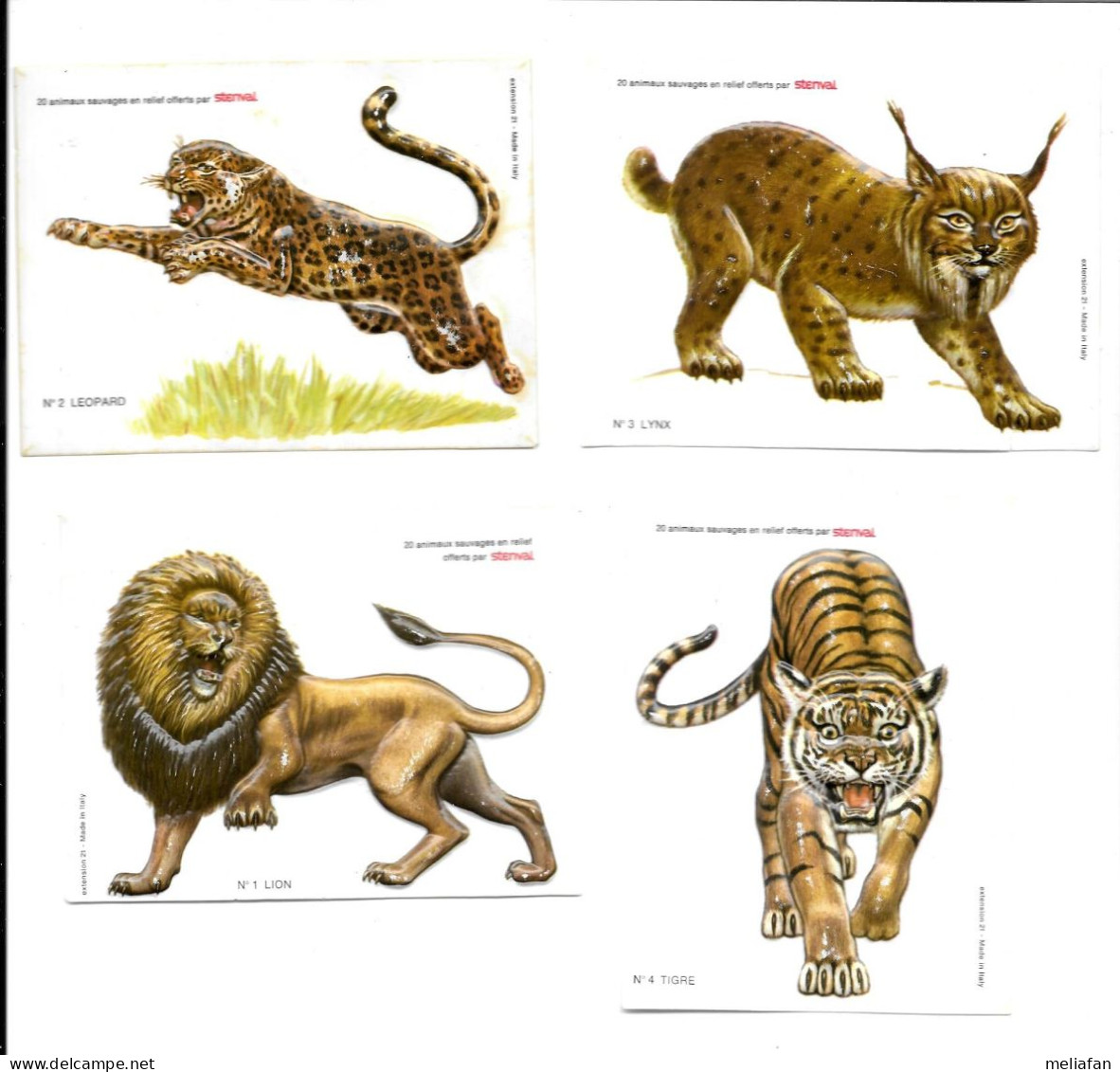 BT16 - IMAGES THERMOFORMEES STENVAL - LION LYNX TIGRE LEOPARD - Other & Unclassified