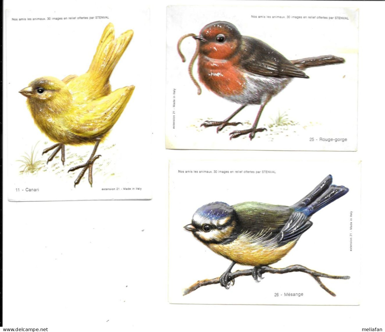 BT14 - IMAGES THERMOFORMEES STENVAL - OISEAUX - CANARI ROUGE GORGE MESANGE - Other & Unclassified