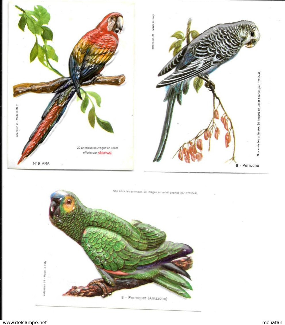 BT12 - IMAGES THERMOFORMEES STENVAL - OISEAUX - PERROQUETS - Autres & Non Classés