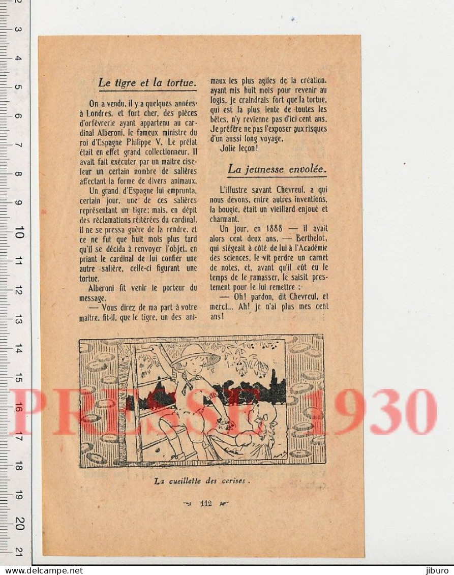2 Vues1930 Construction Jeu D'adresse Jouet Labyrinthe Sur Pivot + Humour Cueillette Des Cerises Enfants Arbre échelle - Non Classés