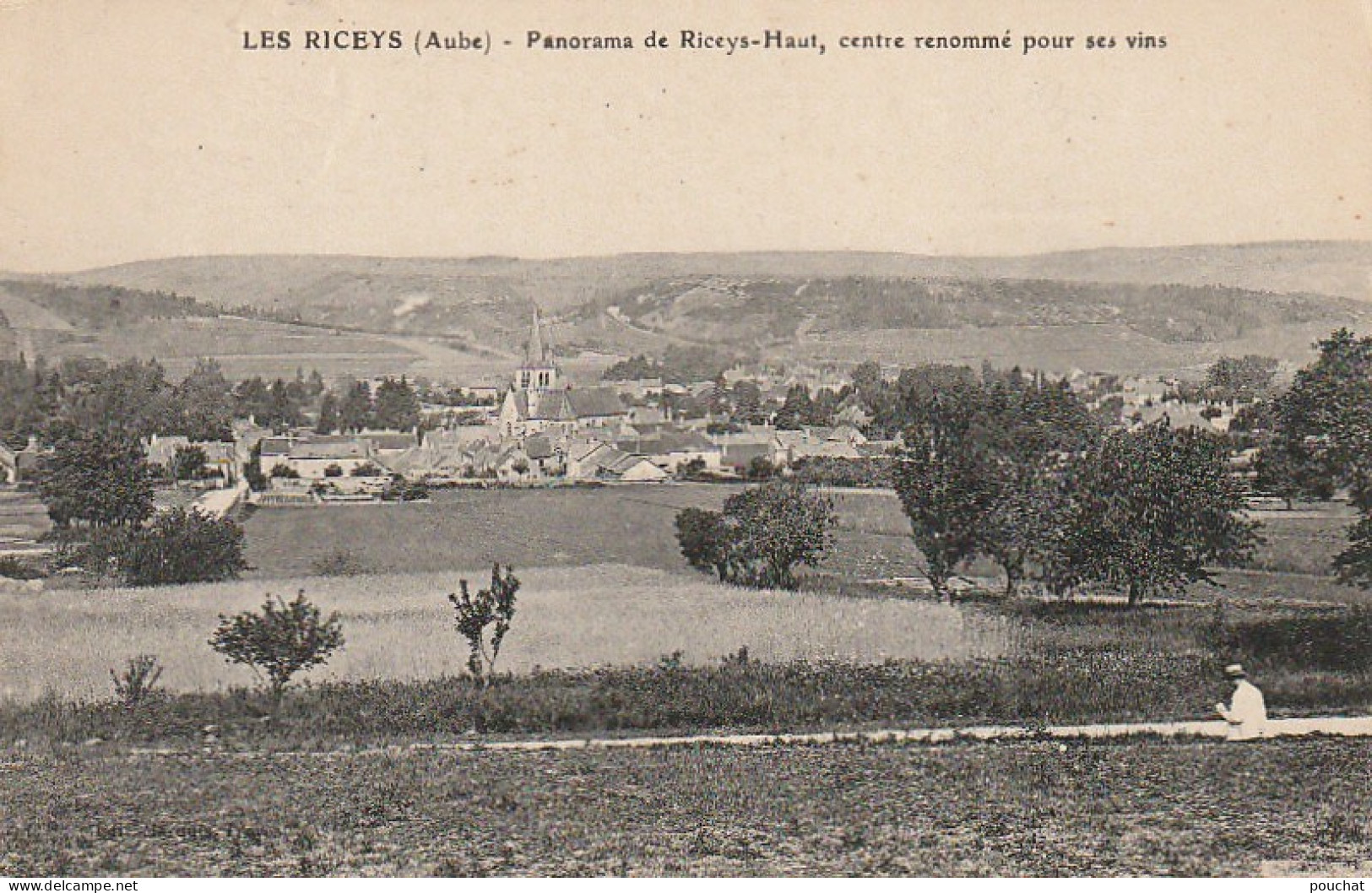 WA 21-(10) LES RICEYS - PANORAMA DE RICEY (RICEYS) HAUT , CENTRE RENOMME POUR SES VINS - 2 SCANS - Les Riceys