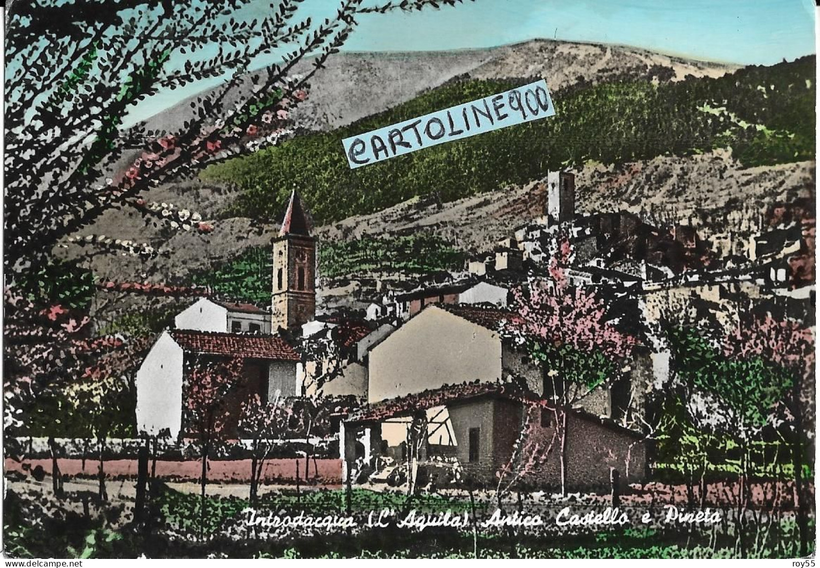 Abruzzo-l'aquila-introdacqua Veduta Antico Castello E Pineta Anni 50 60 - Sonstige & Ohne Zuordnung