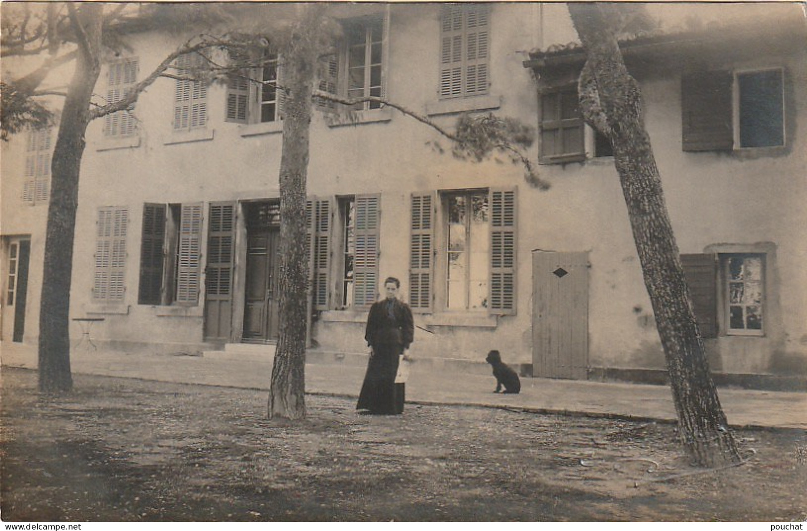 XU 1- CARTE PHOTO FEMME ET CHIEN DEVANT FACADES DE MAISONS - PHOT. FONTAINE D' ALBERT - MARSEILLE ? - 2 SCANS - Sonstige & Ohne Zuordnung