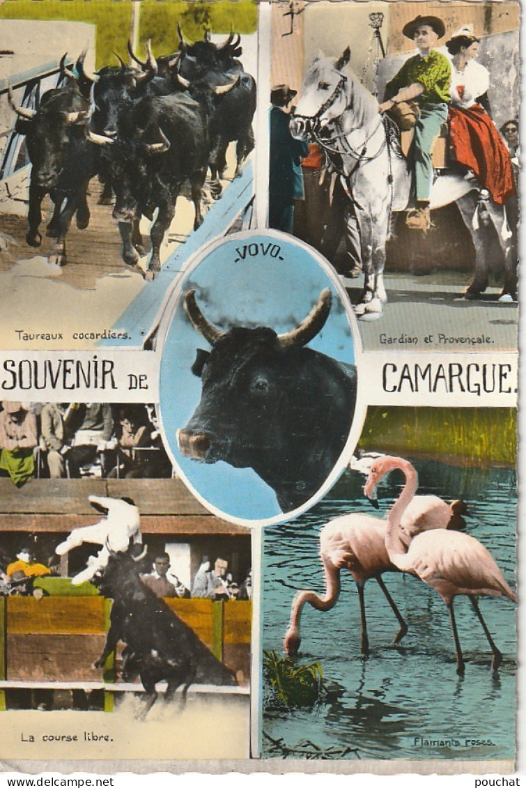 XU 2-(13) SOUVENIR DE CAMARGUE - CARTE MULTIVUES COULEURS : TAUREAUX , GARDIAN , COURSE LIBRE , FLAMANT ROSE - 2 SCANS - Sonstige & Ohne Zuordnung