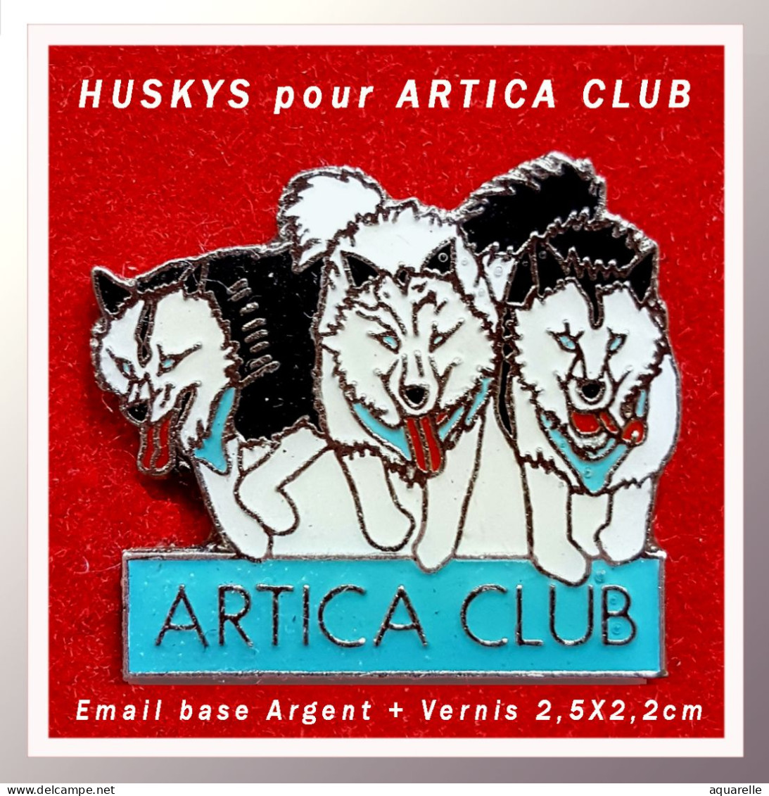 SUPER PIN'S CHIENS "HUSKYS" Pour ARTICA CLUB En émail Vernissé Base ARGENT, Format 2,5X2,2cm - Tiere