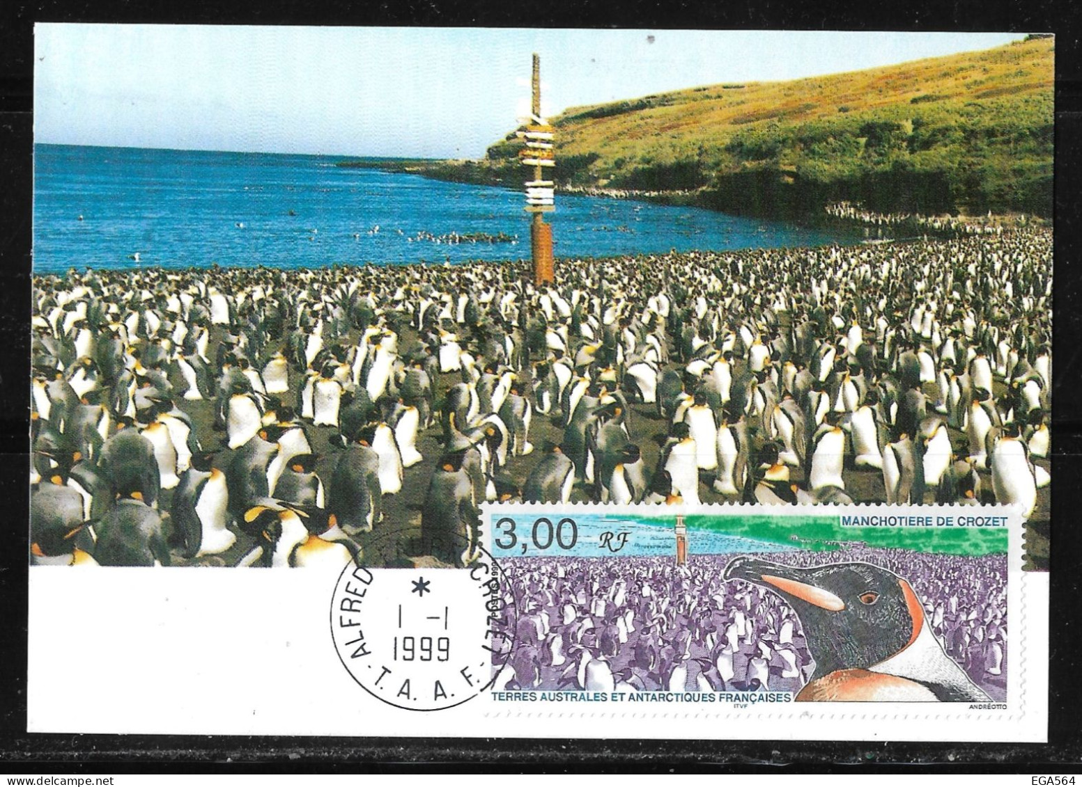 91 - Y&T PO 237 Manchotière De Crozet Sur Carte MAXI FDC Du 1.1.1999 Alfred Faure Crozet. - Briefe U. Dokumente