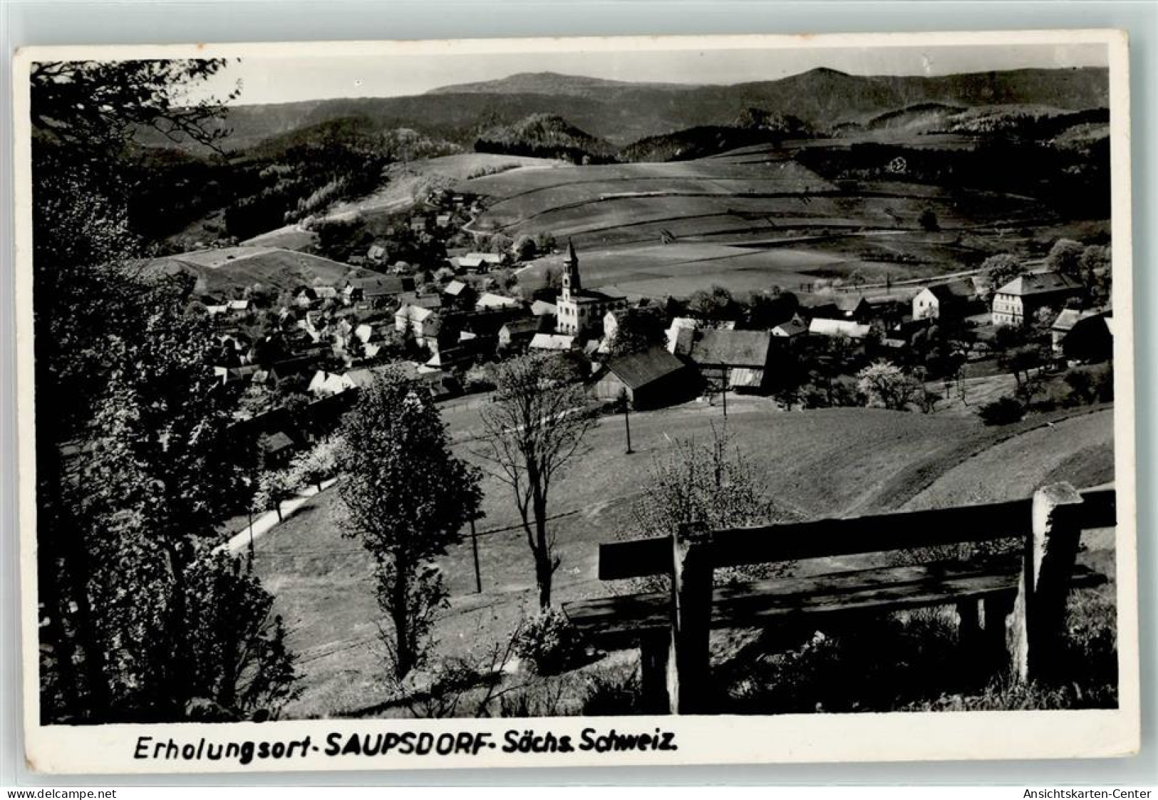 39359106 - Saupsdorf - Kirnitzschtal