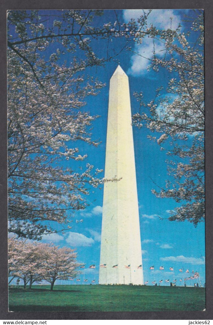 115221/ WASHINGTON D.C., Washington Monument - Washington DC