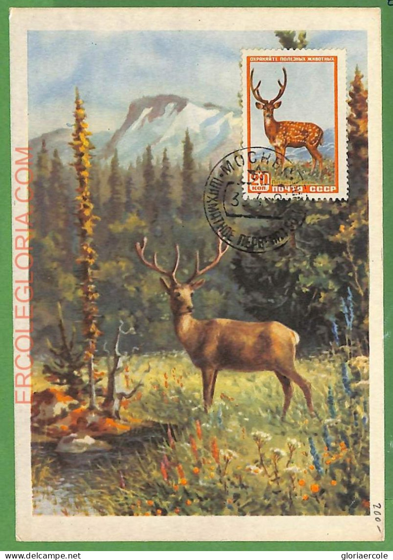 ZA0389 - USSR - Postal History - MAXIMUM - Animals, Deers - Autres & Non Classés
