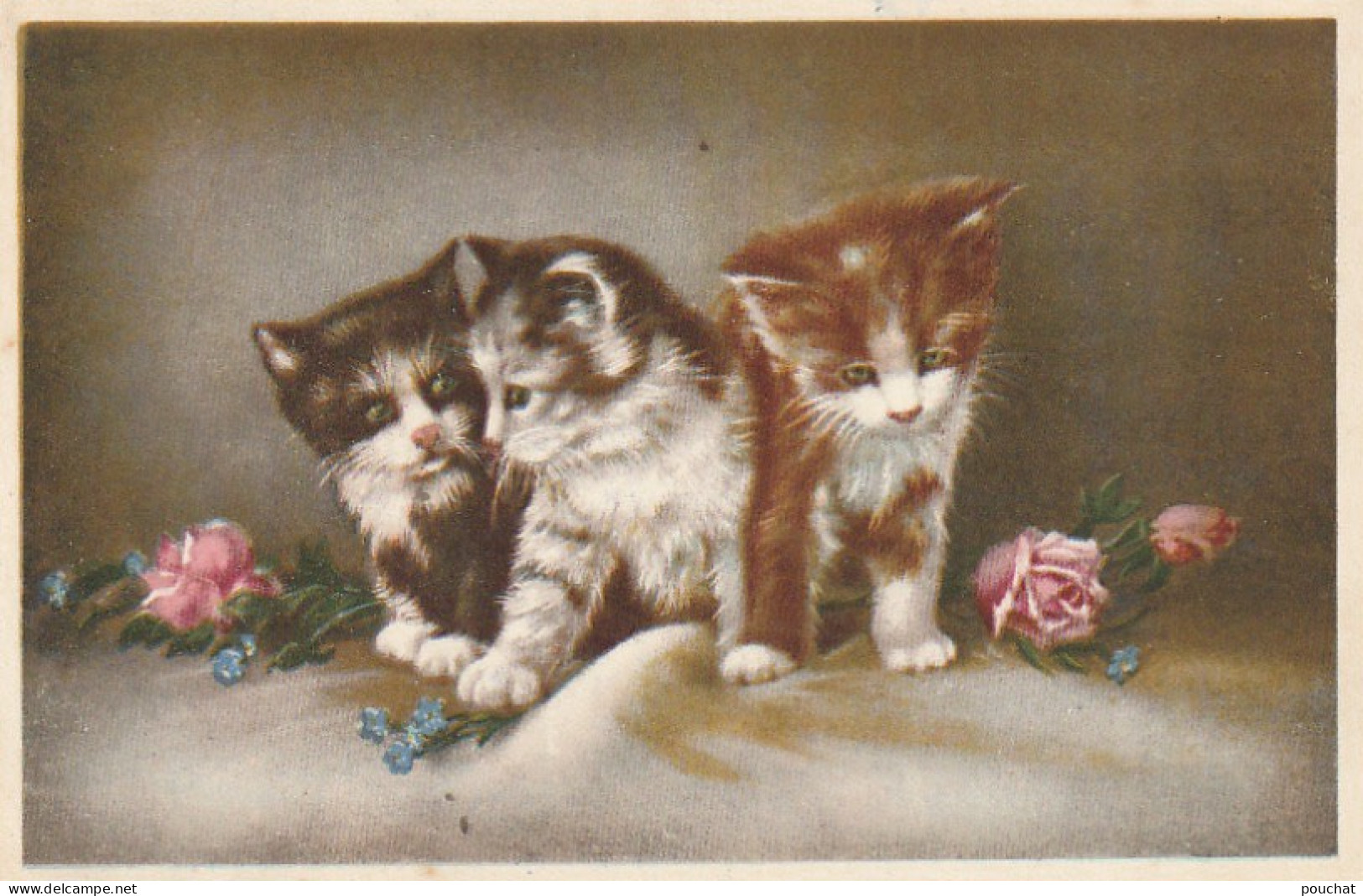 YO 3- TRIO DE CHATONS ET FLEURS , ROSES ET MYOSOTIS - 2 SCANS - Cats