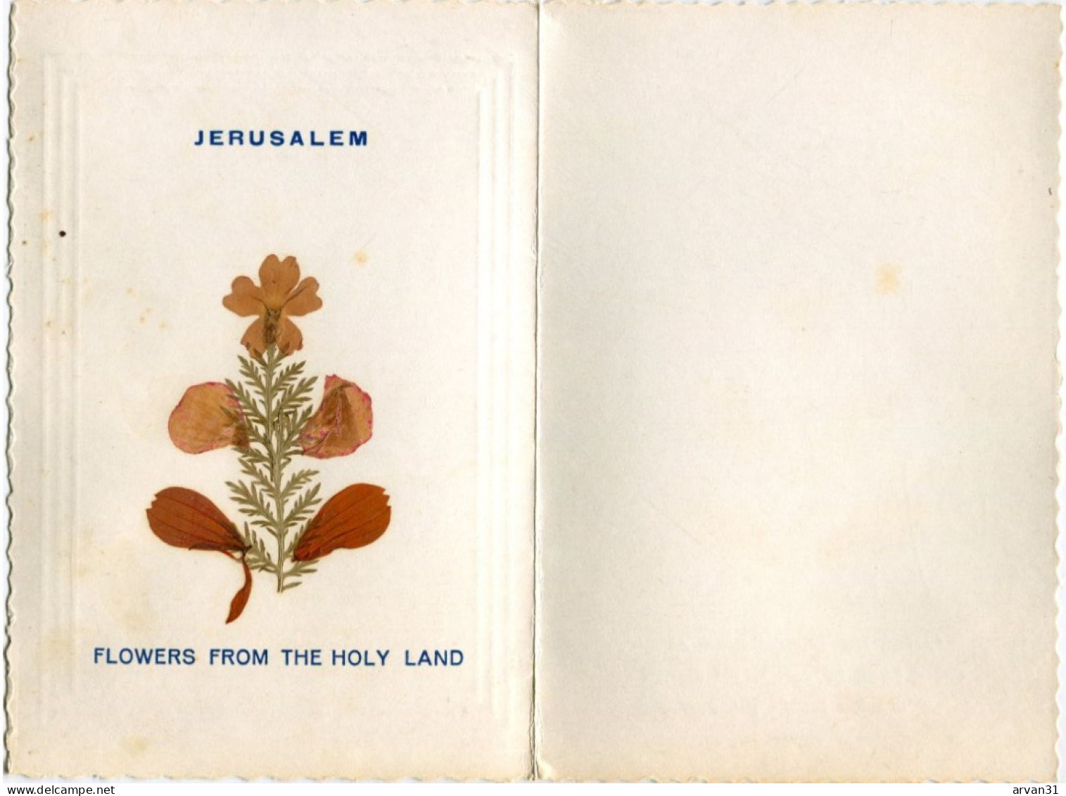 JERUSALEM - FLOWERS From The HOLY LAND - FLEURS SECHEES - CARTE à DOUBLE VOLET - - Israel