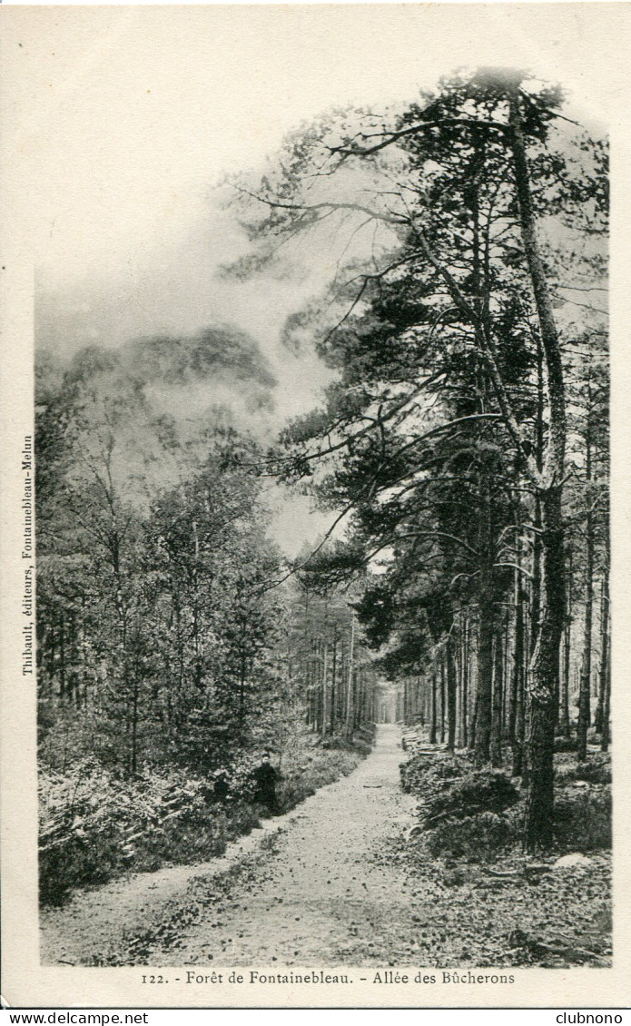 CPA -  FONTAINEBLEAU - FORET - ALLEE DES BUCHERONS - Fontainebleau