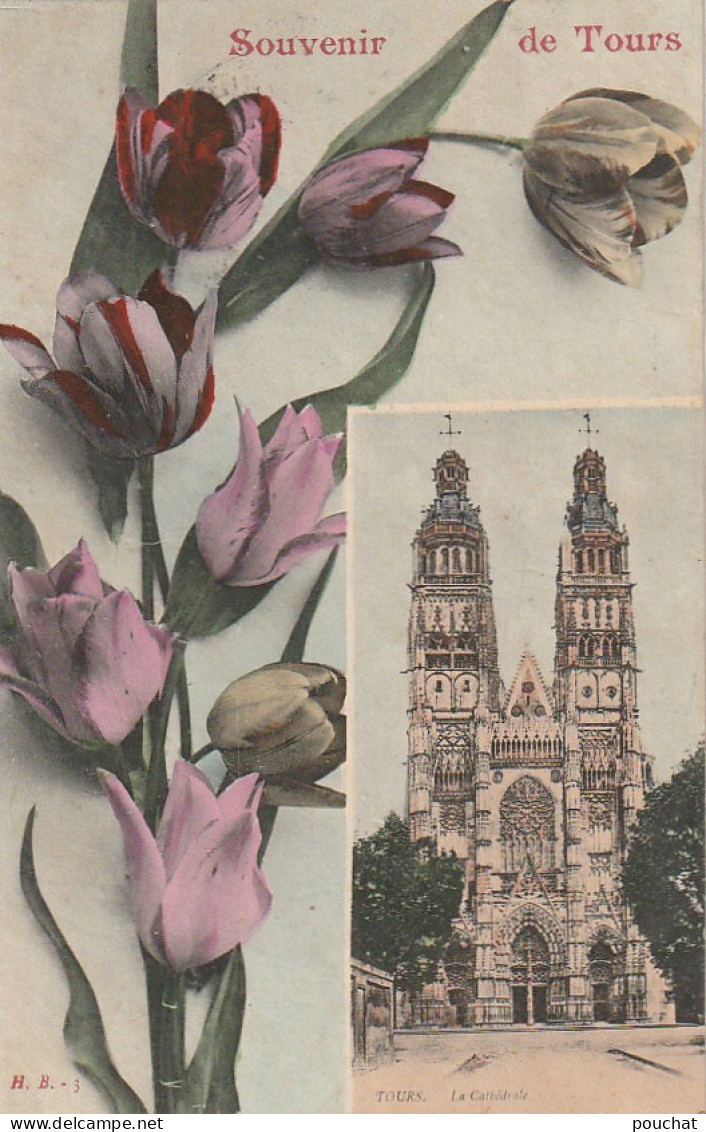 YO 18-(37) SOUVENIR DE TOURS - CARTE FANTAISIE COLORISEE - LA CATHEDRALE - FLEURS : TULIPES - 2 SCANS - Tours