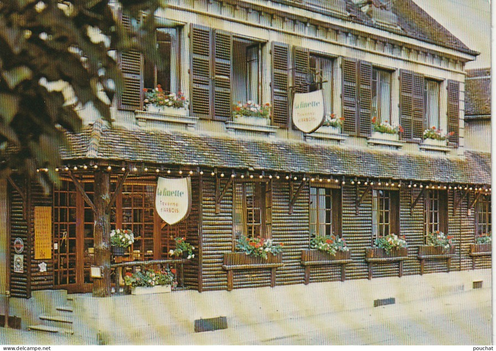 YO 20-(39) ARBOIS - " LA FINETTE " , TAVERNE D' ARBOIS , AVENUE PASTEUR - CARTE COULEURS - 2 SCANS - Arbois