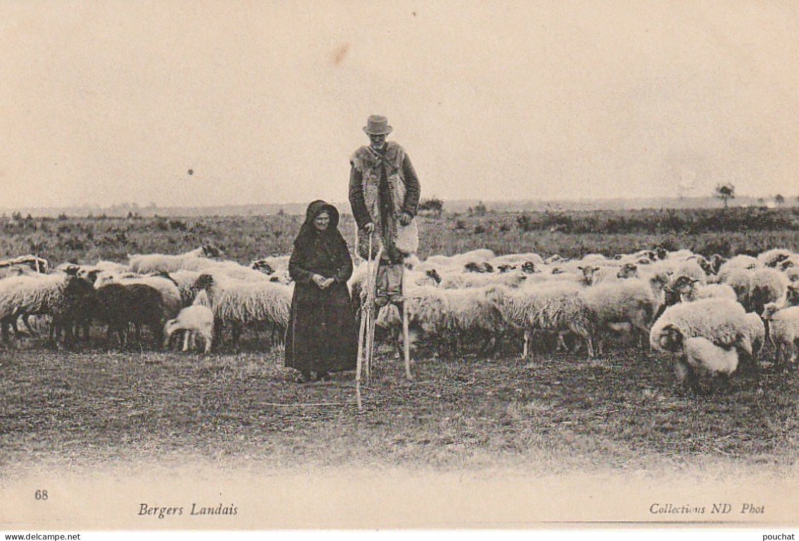 YO 22-(40) BERGERS LANDAIS - TROUPEAU DE MOUTONS , ECHASSIER - 2 SCANS - Bekende Personen