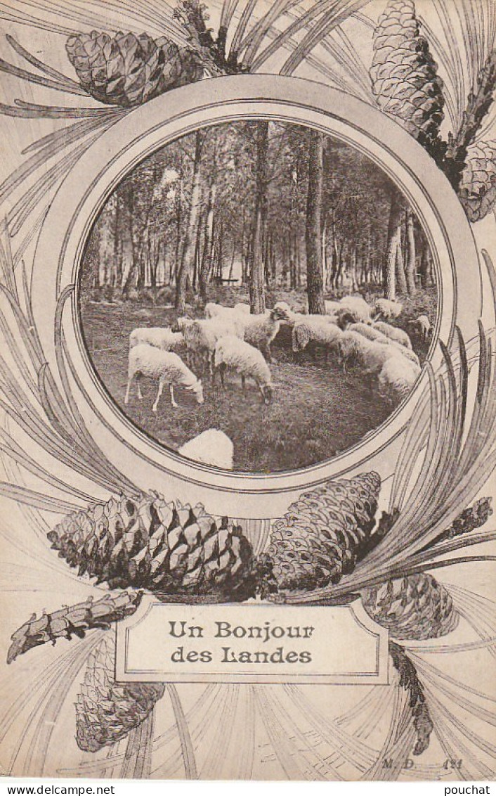 YO 22-(40) " UN BONJOUR DES LANDES " - CARTE FANTAISIE MEDAILLON AVEC TROUPEAU DE MOUTONS - 2 SCANS - Otros & Sin Clasificación