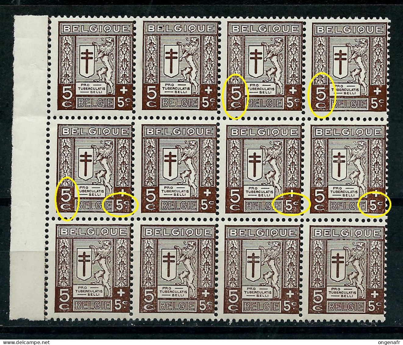 6 Blocs  Du N° 240 + CU Luppi- ** Soit 126 Timbres - 1901-1930