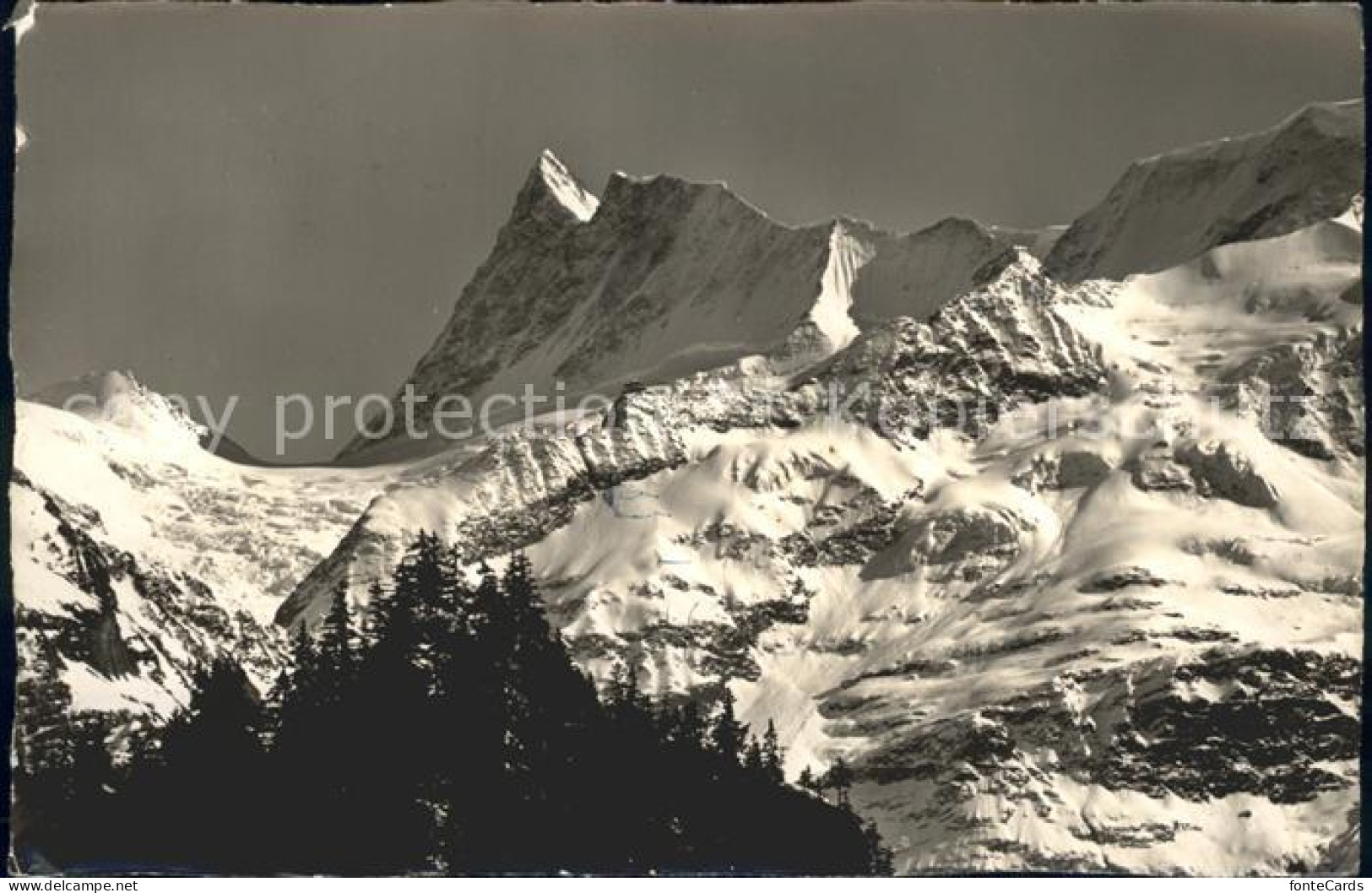 12024803 Grindelwald Finsteraarhorn Berner Alpen Grindelwald - Sonstige & Ohne Zuordnung
