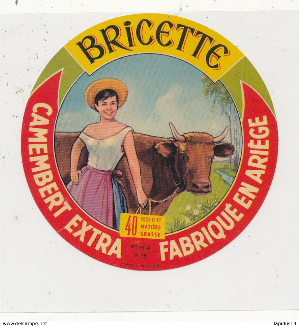 G G 404  /  ETIQUETTE DE FROMAGE   CAMEMBERT BRICETTE     FABRIQUE. EN ARIEGE     (ARIEGE ) - Fromage