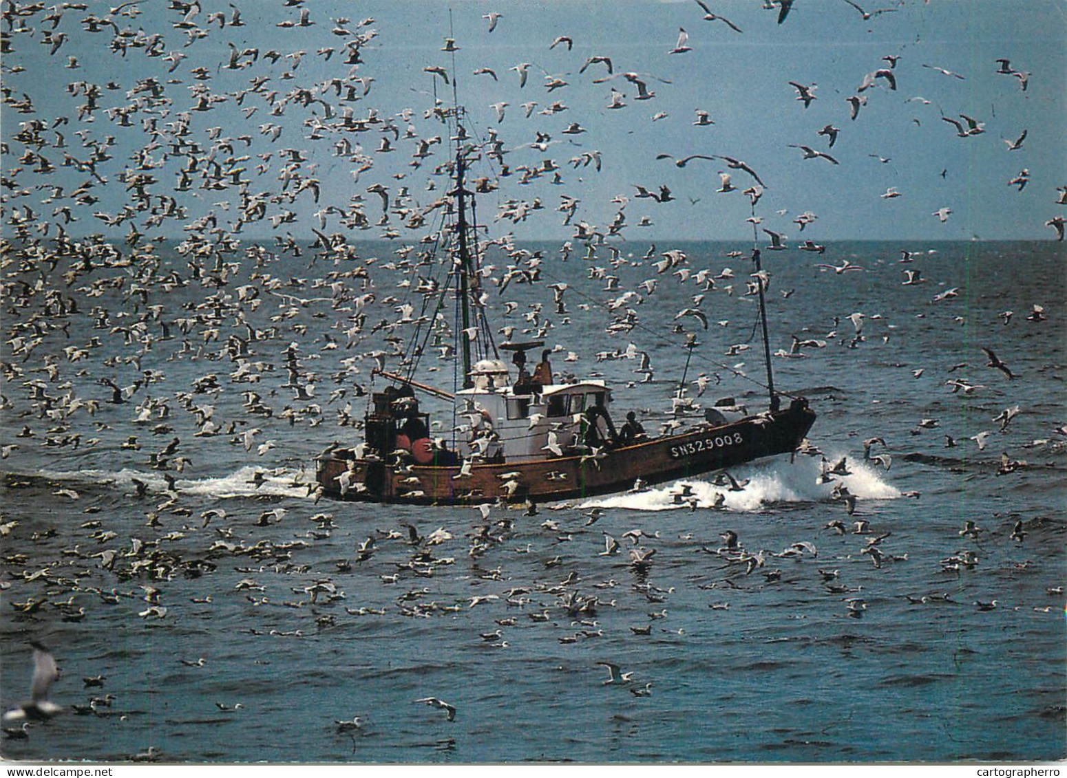 Navigation Sailing Vessels & Boats Themed Postcard Fishing Vessels - Velieri