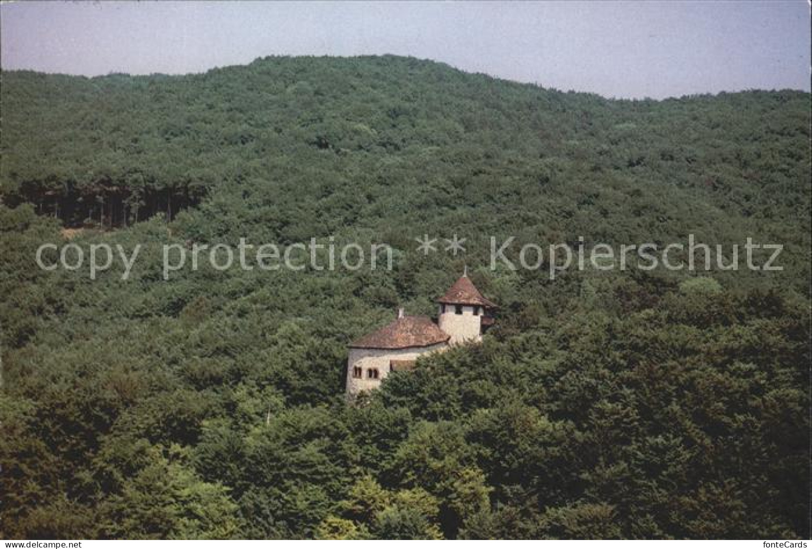 12023660 Arlesheim Burg Reichenstein Fliegeraufnahme Arlesheim - Sonstige & Ohne Zuordnung