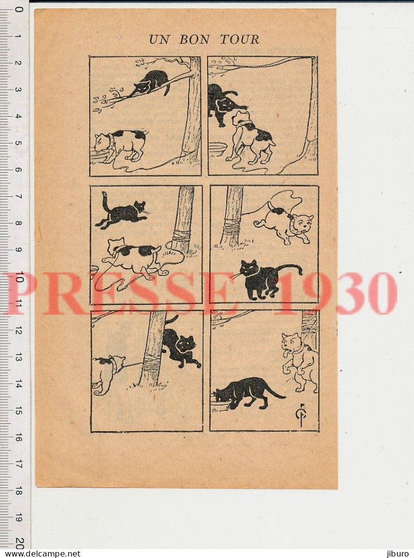 Humour 1930 Chien Bouledogue Et Chat Noir Animal En Laisse Arbre Bagarre - Zonder Classificatie