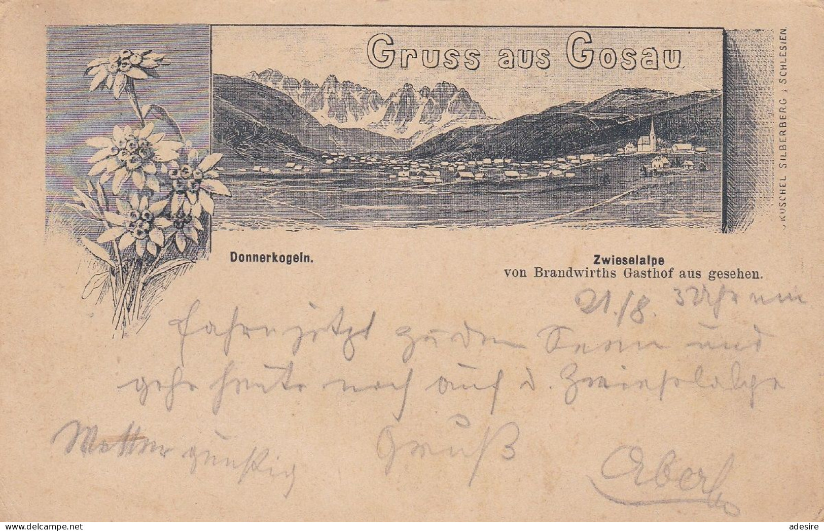 Gruss Aus GOSAU - Donnerkogel Zwieselalpe, Gel.1897, 2 Kreuzer Frankierung, Altersspuren  ... - Autres & Non Classés