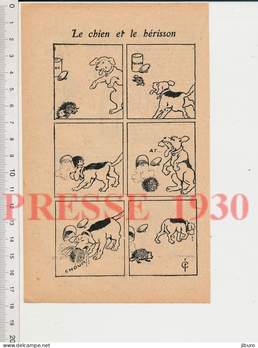 Humour 1930 Le Chien Et Le Hérisson Animal En Boule Poivre = Atchoum éternuement - Non Classés