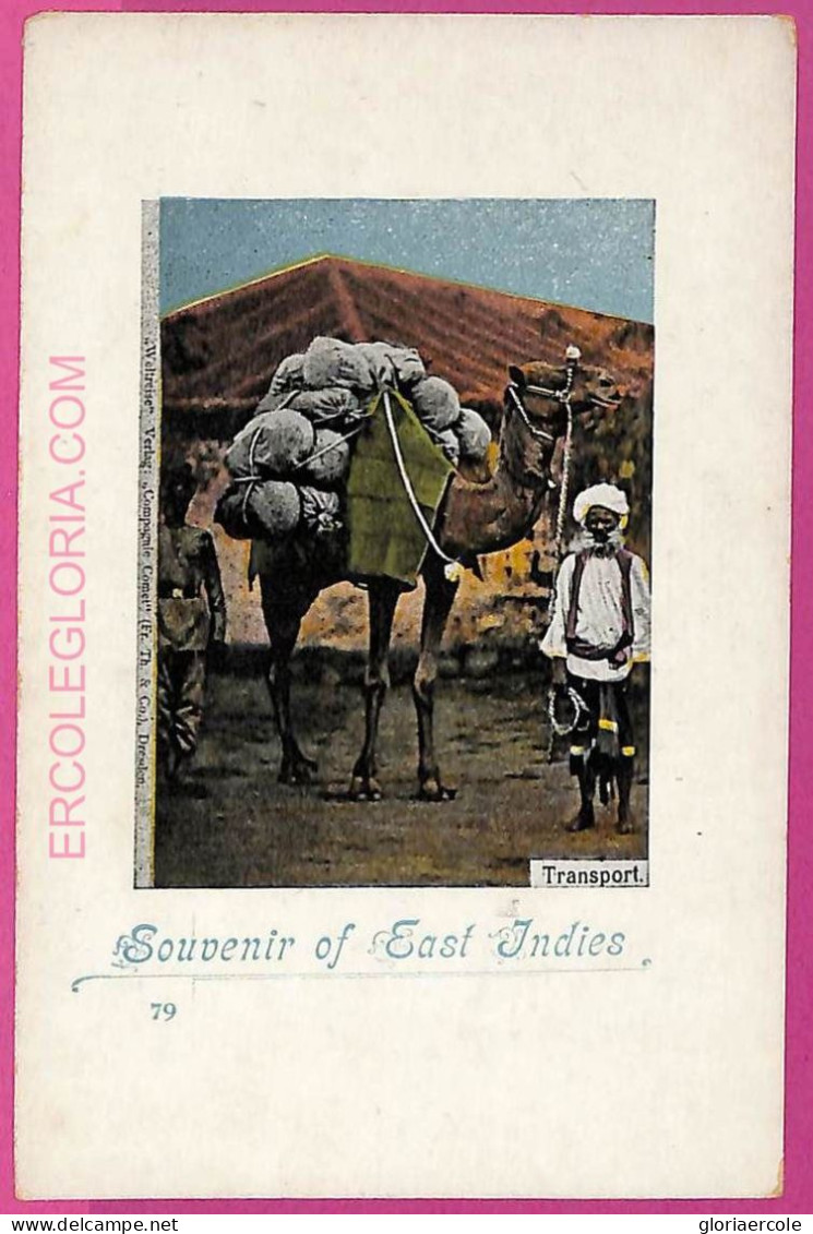 Ag3663 - INDIA - VINTAGE POSTCARD - East Indies, Transport, Ethnic - Inde