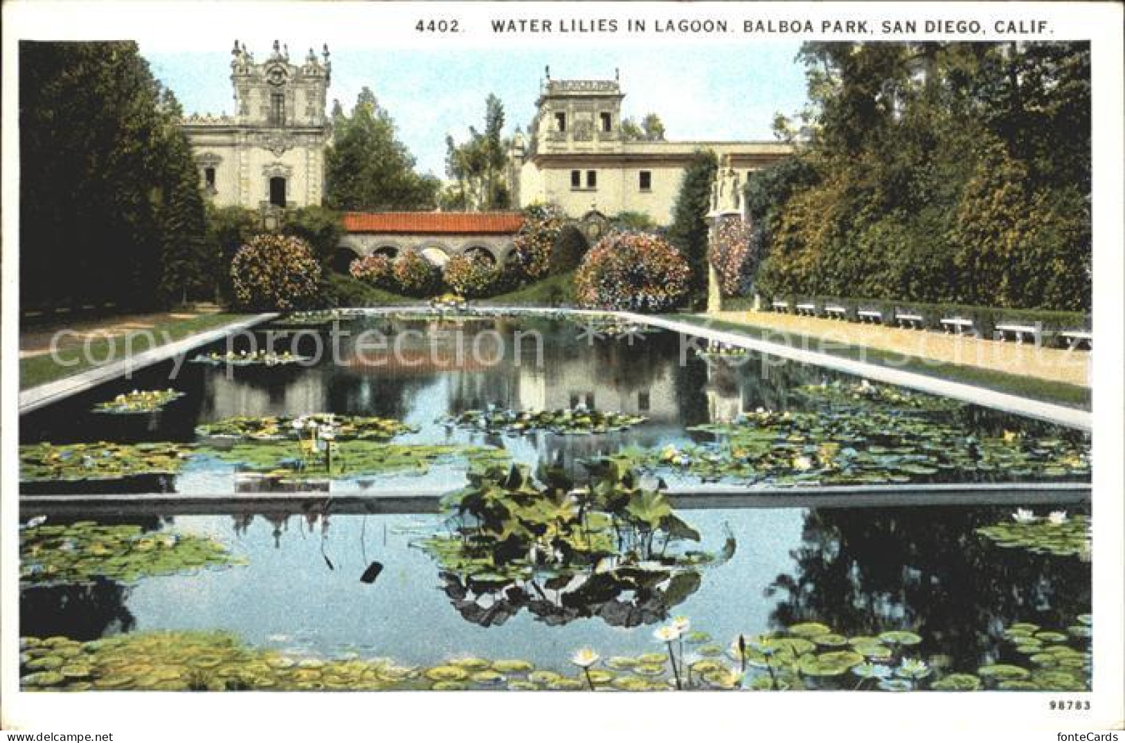 12020936 San_Diego_California Water Lilies In Lagoon Balboa Park - Autres & Non Classés