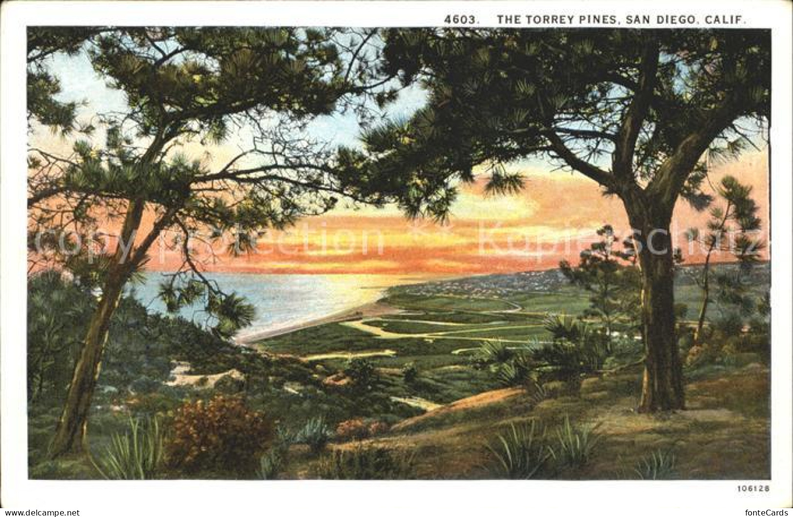 12020934 San_Diego_California Torrey Pines Panorama Ocean - Sonstige & Ohne Zuordnung