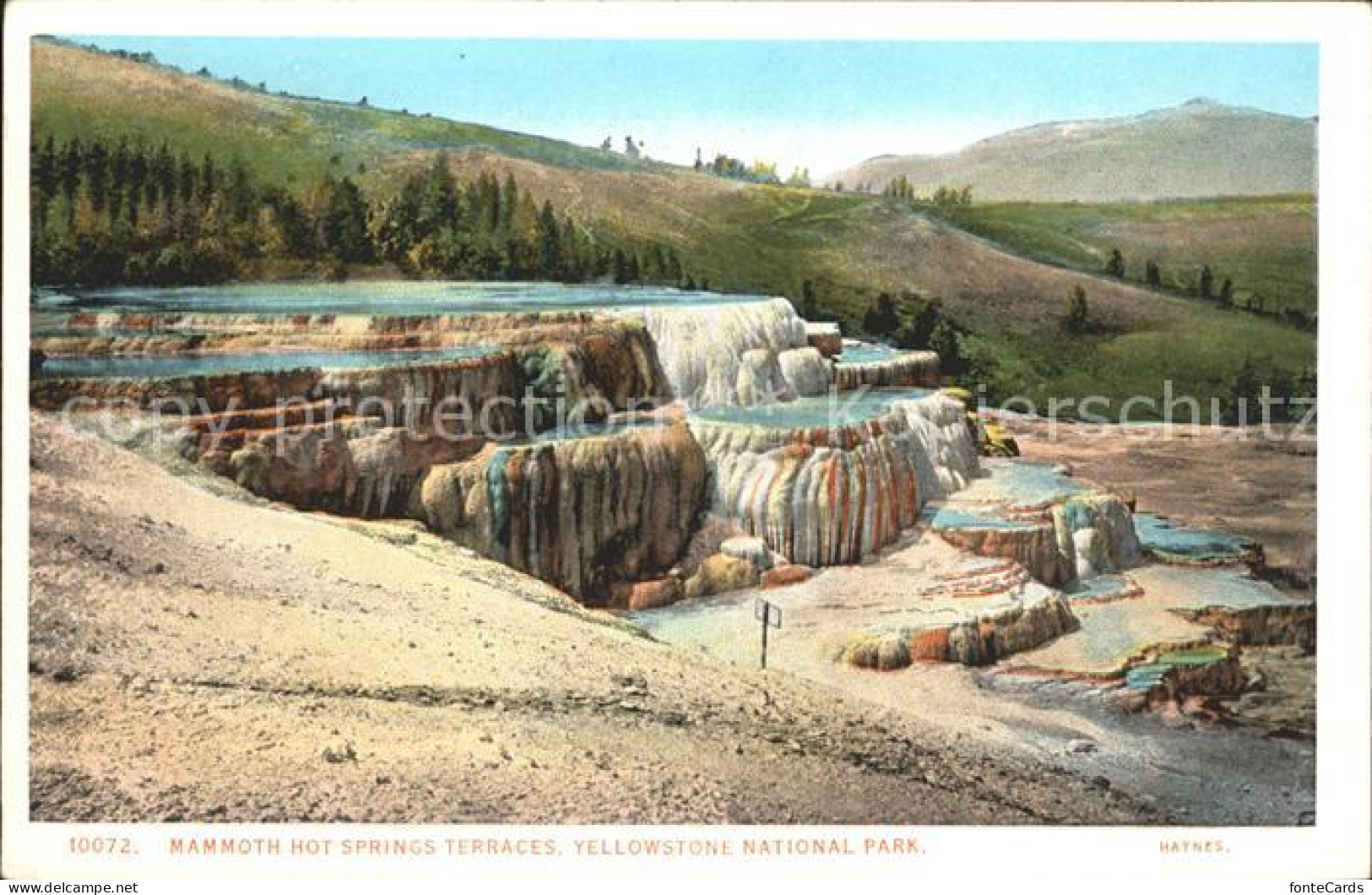 12020929 Yellowstone_National_Park Mammoth Hot Springs Terraces - Autres & Non Classés