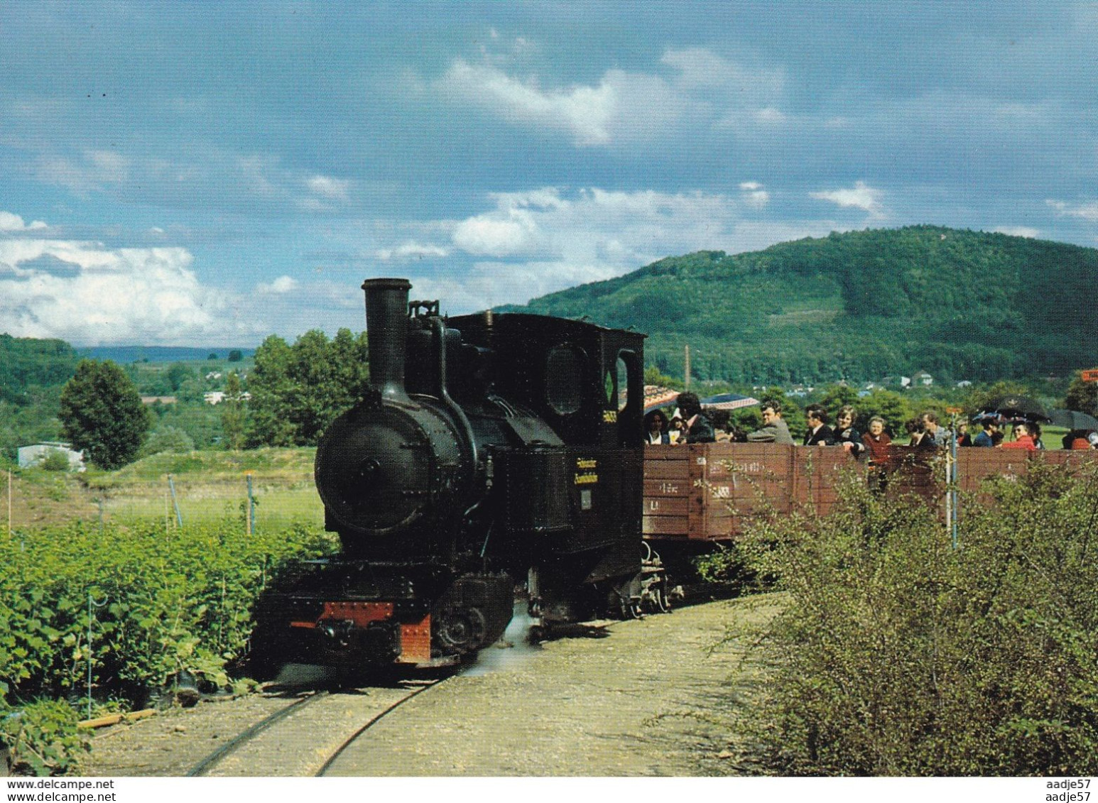 Deutschland Germany Schinznacher Baumschulbahn Lok Pinus - Trains