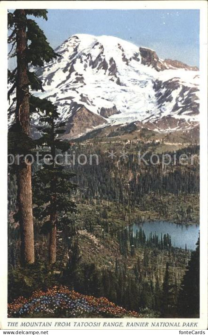 12020922 Rainier_National_Park Mountain From Tatoosh Range - Andere & Zonder Classificatie