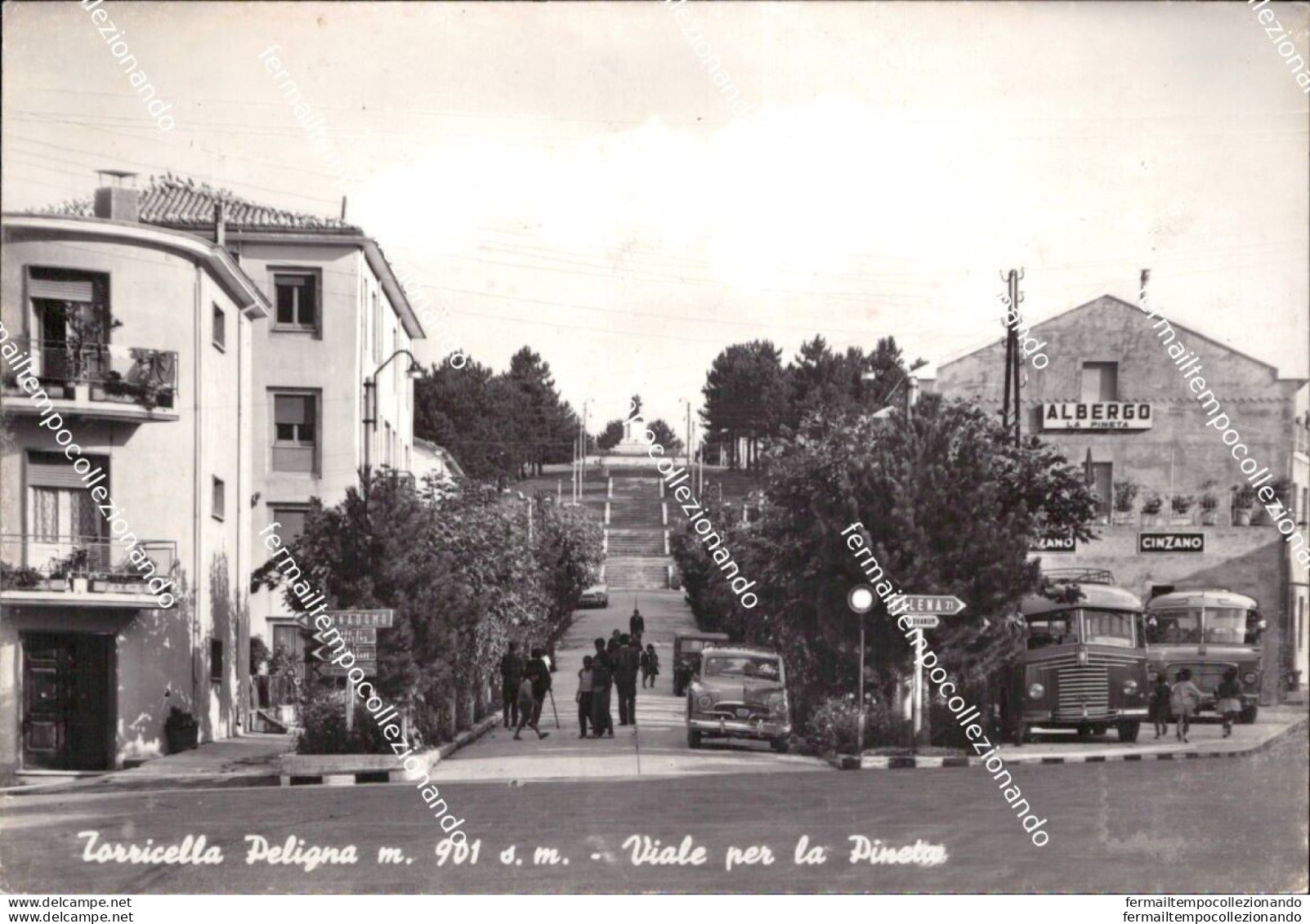 Cd626 Cartolina Torricella Peligna Viale Per La Pineta Chieti Abruzzo Bella! - Chieti