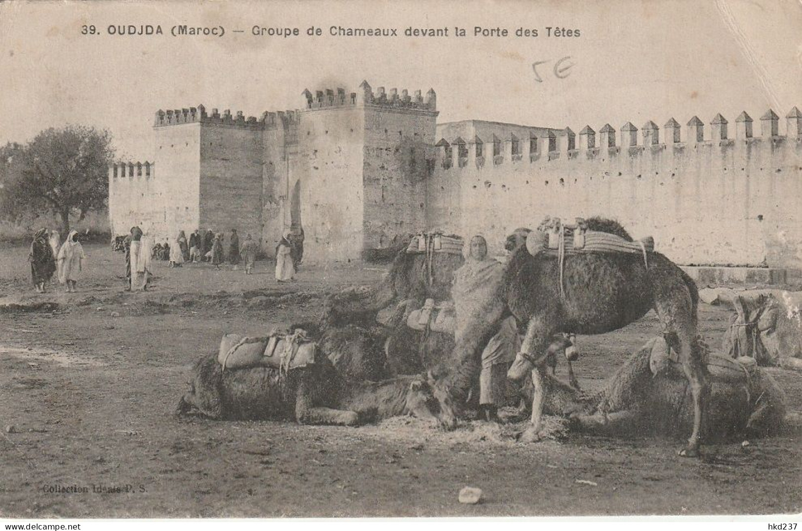 Oudjda Groupe De Chameaux Devant La Porte Des Têtes Animée # 1919     5028 - Casablanca