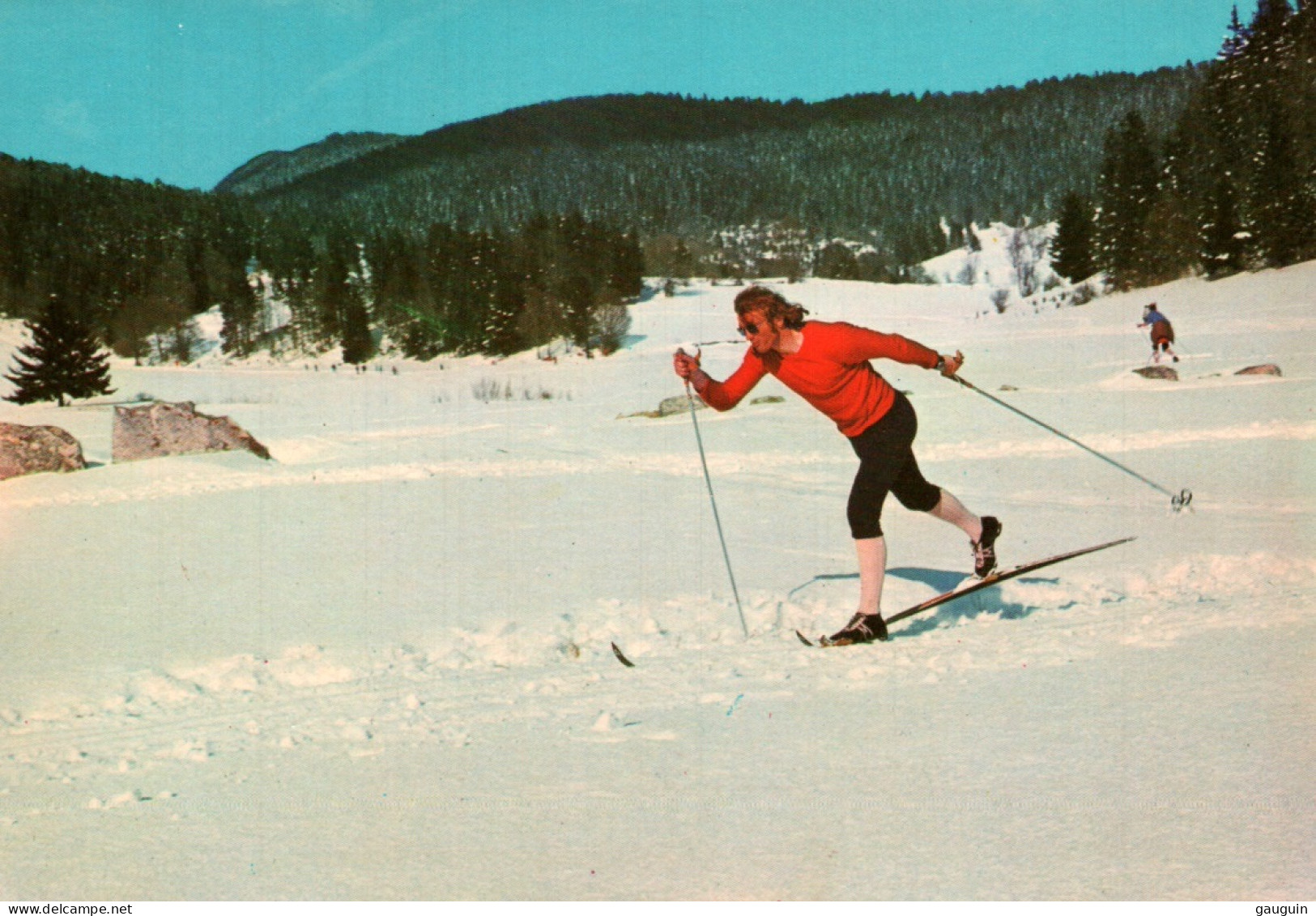 CPM - SKI De FOND ... LOT 2 CP à Saisir - Deportes De Invierno