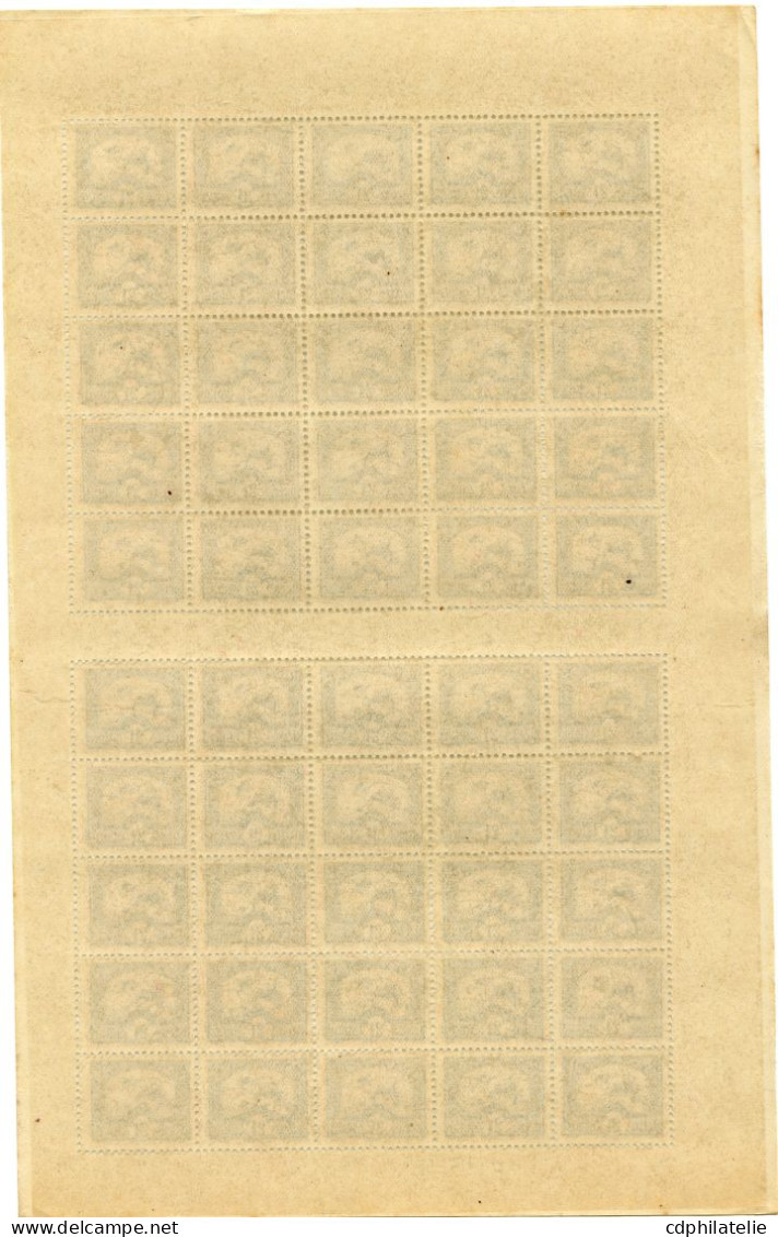 INDOCHINE N°164 ** RIZIERE EN PANNEAU DE 50 - Unused Stamps