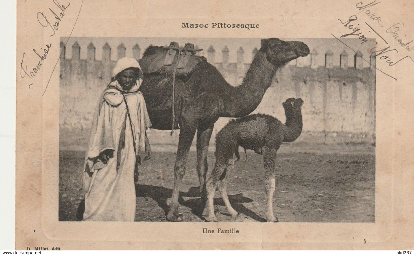 Une Famille Maroc Pittoresque Homme Et Des Chameaux # 1913     5029 - Casablanca