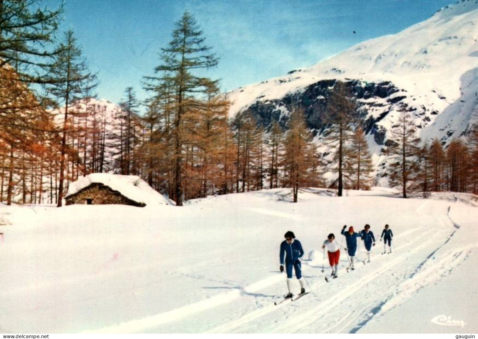 CPM - SKI De FOND - Pistes & Promenade En Forêt ... LOT 3 CP à Saisir - Deportes De Invierno