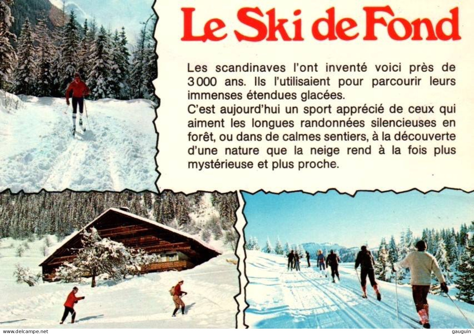 CPM - SKI De FOND - Pistes & Promenade En Forêt ... LOT 3 CP à Saisir - Wintersport