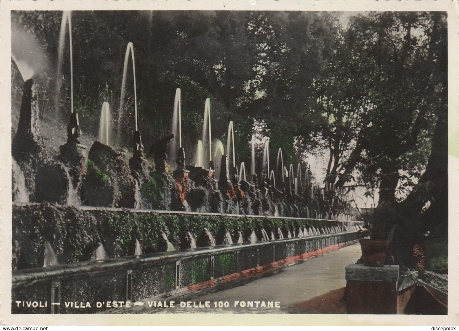 AD144 Tivoli (Roma) - Villa D'Este - Viale Delle 100 Fontane / Viaggiata 1952 - Tivoli