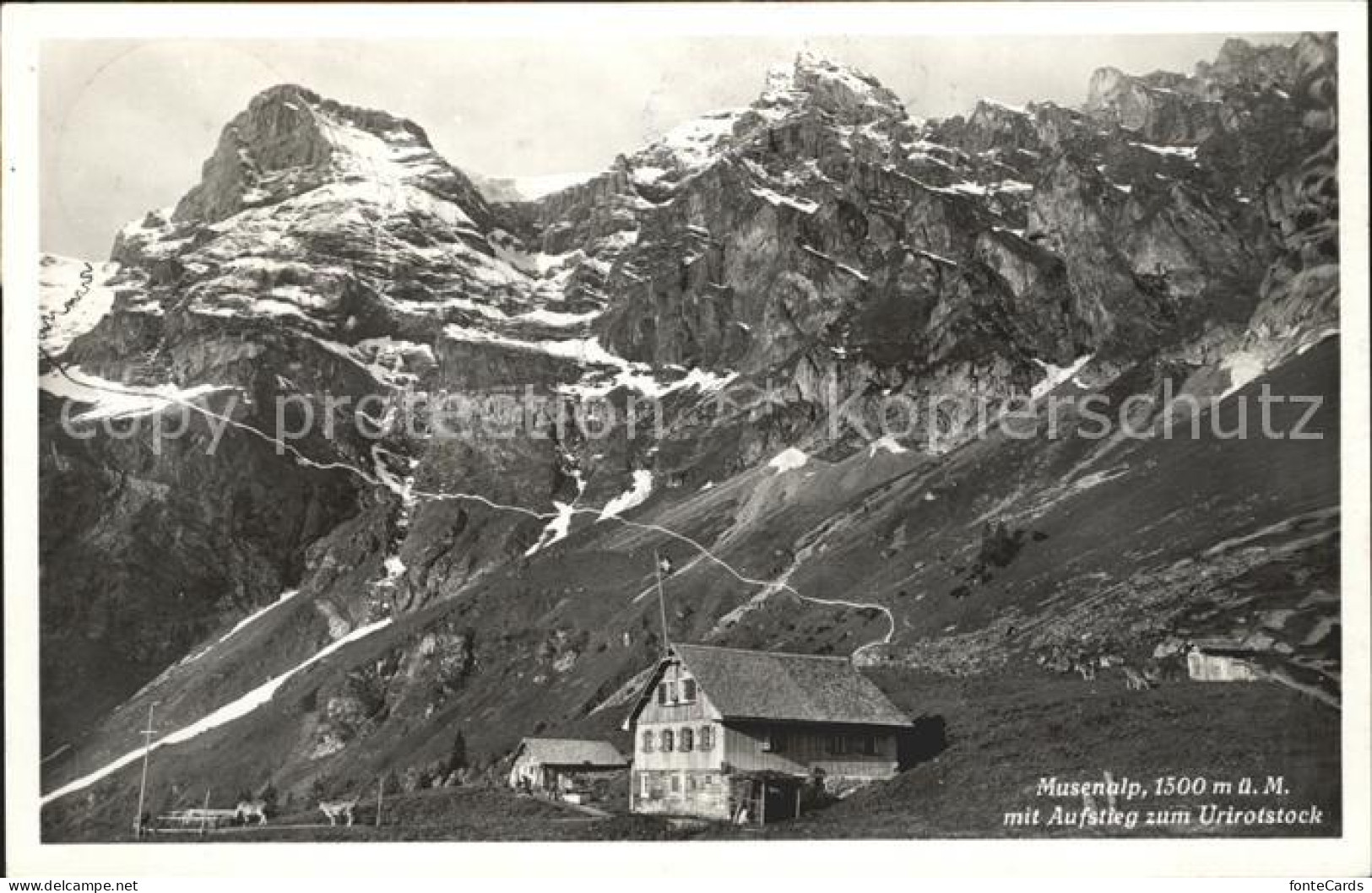12019690 Musenalp Mit Aufstieg Zum Urirotstock Urner Alpen Musenalp - Autres & Non Classés