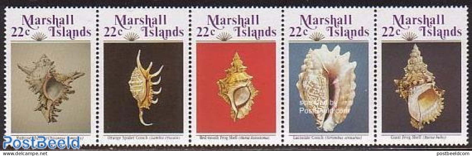 Marshall Islands 1986 Shells 5v [::::], Mint NH, Nature - Shells & Crustaceans - Mundo Aquatico